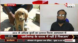 Chhattisgarh News || Jagdalpur में Corona जैसा Virus पावा, आवारा कुत्तों में फैल रहा तेजी से