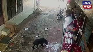 સુરત : કાપોદ્રામાં બુટલેગરો બેફામ, હપ્તોના આપતા દુકાનમાં કરાઈ તોડફોડ, જુઓ વાઈરલ CCTV વીડિયો