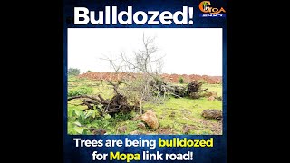 Trees are being bulldozed for Mopa link road! Tulaskarwadi locals furious