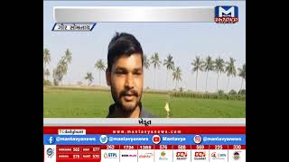 ગિરસોમનાથના ખેડૂતોને મળી રાહત | MantavyaNews