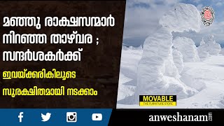 മഞ്ഞു രാക്ഷസന്മാർ നിറഞ്ഞ താഴ്വര; സന്ദർശകർക്ക് ഇവയ്ക്കരികിലൂടെ സുരക്ഷിതമായി നടക്കാം |  News60