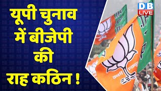 UP Election में BJP की राह कठिन ! Akhilesh Yadav | Priyanka Gandhi | CM Yogi | Breaking | #DBLIVE