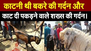 काटनी थी बकरे की गर्दन और काट दी पकड़ने वाले शख्स की गर्दन! | Andhra Pradesh Tourism | Viral Video |