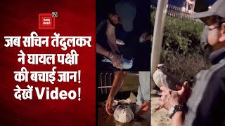 जब Sachin Tendulkar ने घायल पक्षी की बचाई जान, सोशल मीडिया पर वायरल हुआ वीडियो