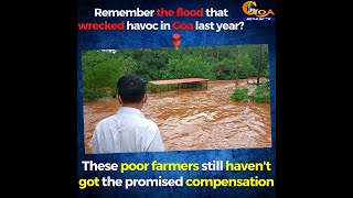 Flood that wrecked havoc in Goa last year? These poor farmers still haven't got the compensation