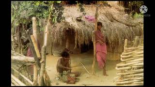 गडचिरोली जिल्ह्यातील ठक्कर बाप्पा आदिवासी वस्ती सुधारणा योजनेच्या आर्थिक निकषात वाढ