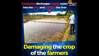 Contractor discharges muddy water into the river and pollutes it. Damaging the crop of the farmers.