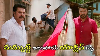 Mammootty Back To Back Fight Scenes | Latest Telugu Action Scenes | Bhavani HD Movies