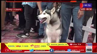 Jaipur के दशहरा ग्राउंड में आयोजित हुआ डॉग शो 'The Dog Fest', सैकड़ो Dogs ने किया पार्टिसिपेट