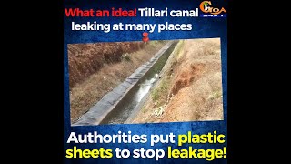 What an idea! Tillari canal leaking at many places. Authorities put plastic sheets to stop leakage!