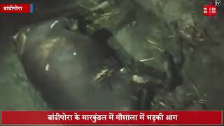 बांदीपोरा के मारकुंडल में गौशाला में भड़की आग, एक व्यक्ति घायल, 2 मवेशी जिंदा जले