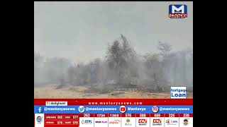 Arvalli : ડુઘરવાડા પાસે જંગલમાં લાગી આગ| MantavyaNews