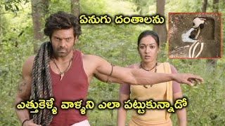 ఏనుగు దంతాలను ఎత్తుకెళ్ళే | Arya Catherine Tresa Latest Telugu Movie Scenes