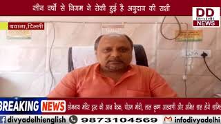 श्री कृष्ण गौशाला में रखी गाय भूखे मरने की कगार पर || Divya Delhi Channel