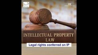 The importance of Intellectual Property