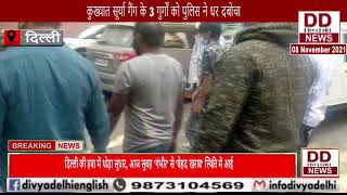 कुख्यात सूर्या गैंग के 3 गुर्गों को पुलिस ने धर दबोचा || Divya Delhi Channel