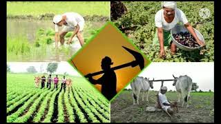 एक शेतकरी- एक अर्ज उपक्रमामुळे कृषी विभागाच्या योजना थेट शेतकऱ्यांच्या दारात