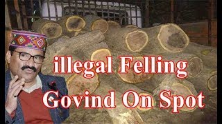 illegal Felling, Govind On Spot