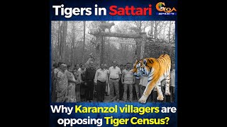 Why Karanzol villagers are opposing Tiger Census????