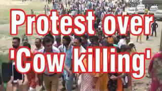 Protest over 'Cow killing'