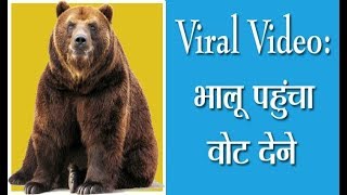 Viral Video: भालू पहुंचा वोट देने