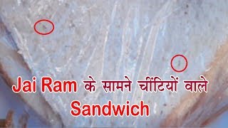 Jai Ram के सामने चींटियों वाले Sandwich