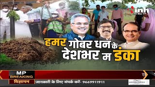 Chhattisgarh News || CM Bhupesh Baghel - हमर गोबर धन के देशभर म डंका
