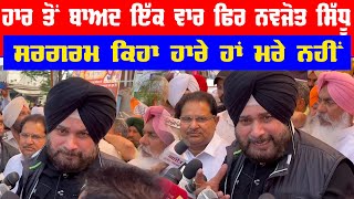 After the defeat, Navjot Sidhu was active again, saying that the loser was not dead.