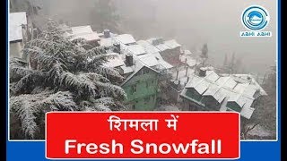 Fresh Snowfall In Shimla