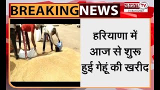 Haryana Wheat Procurement: हरियाणा में आज से शुरू हुई गेहूं की खरीद, 15 मई तक रहेगी जारी | Janta Tv