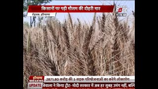 Rohtak: किसानों पर पड़ा गर्मी का असर, फसल खराब होने से Kisan मायूस
