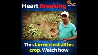 This is heart breaking. This farmer lost all his crop, Watch how