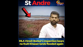 StAndre Khazan Land. Inspection by MLA Viresh Borkar bears no fruit! Khazan lands flooded again