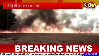 जनपद फतेहपुर में आग का कहर, 500 बीघा गेहूं की फसल जलकर राख | Crop fire in Fatehpur | KKD News Live