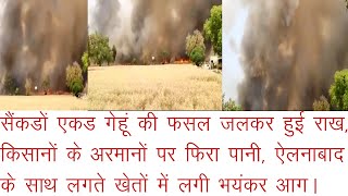 ऐलनाबाद के नजदीक खेतों में लगी भयंकर आग, सैंकडों एकड गेहूं की फसल जलकर हुई राख। SirsaEllenabadNews