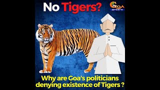 Why are Goa's politicians denying existence of Tigers in Goa? Here is your answer!