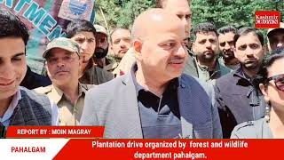 Plantation drive organized by  forest and wildlife department pahalgam.