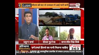 Haryana: पिछले साल की अपेक्षा मंडी में गेहूं की आवक कम, मौसम की मार से उत्पादन में आई भारी कमी