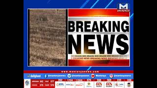 Amreli: શેઢાવદર ખાતે 4 સિંહોએ કર્યો શિકાર| MantavyaNews