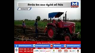 Bhavnagar : ખેડૂતોની મંજૂરી વગર વીજપોલ ઉભા કરાતાં રોષ | MantavyaNews