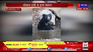 Sawaimadhopur News | भीषण गर्मी से हाल बेहाल, रणथंबोर में भालू पानी में कर रहा अठखेलियां | JAN TV