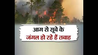#UttarakhandKeSawal: क्या वनाग्नि पर सीरियस नहीं है सरकार ? देखिये आज शाम 5 बजे #IndiaVoice पर।