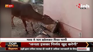 गजब है ये गाय, नल खोलकर पानी पिया और उसे बंद भी कर दिया Video हुआ Social Media में Viral