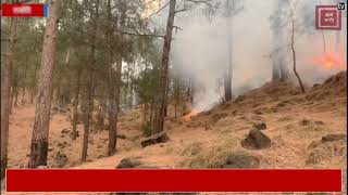 राजौरी के जंगलों में लगी भयानक आग, रिहायशी इलाकों तक पहुंचने की आशंका से दहशत