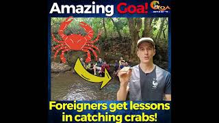 #AmazingGoa | Pravin Malik a youth from Valpoi village teach tourist how to catch crabs!