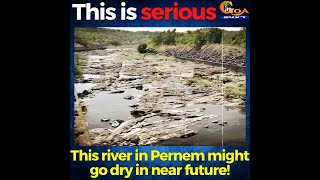 #Serious | This river in Pernem might go dry in near future!