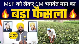 CM Bhagwant Mann का बड़ा फैसला |  Moong Crop MSP पर खरीदेगी Punjab Govt #PunjabModel | AAP Punjab