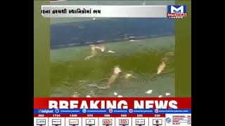 Bharuch : ઢાઢર નદિમાં મગરોનો વિડીયો વાયરલ | MantavyaNews