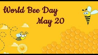 World Bee Day 2022: How the pollinators are significant for our ecosystem?