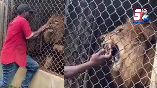 Zoo Park Mein Loin Ne Kiya Admi Ka Bura Haal | INTERNATIONAL NEWS | SACH NEWS | 23-05-2022